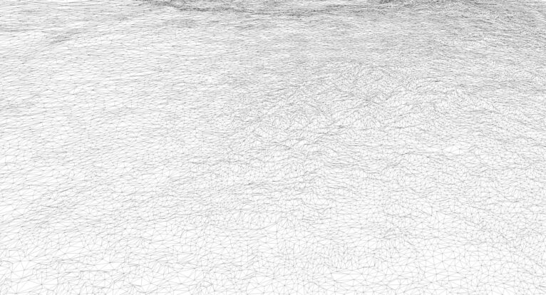 Wireframe view of polygonal tris geometry of Africa 3D model