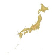 3D terrain model of Japan in STL format, front view