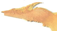 Michigan digital elevation model STL terrain map