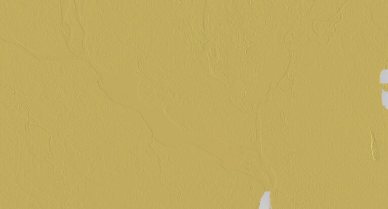 Bangladesh topographic model 3D-printed in PLA