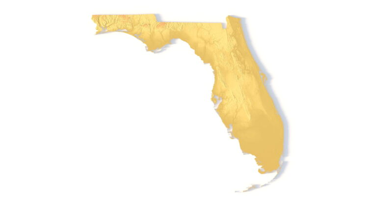 Florida 3D terrain map STL for 3D printing