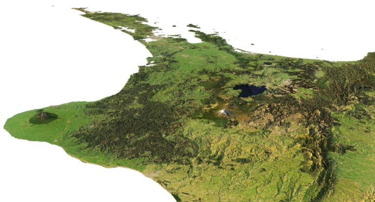New Zealand buy 3d models