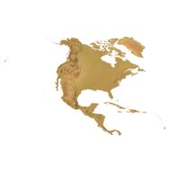 North America relief map