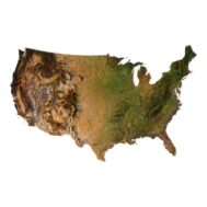 USA 3D map model showcasing elevation and topographic details.