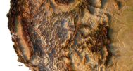 3D relief map of USA showing high-polygon modeling for design projects.