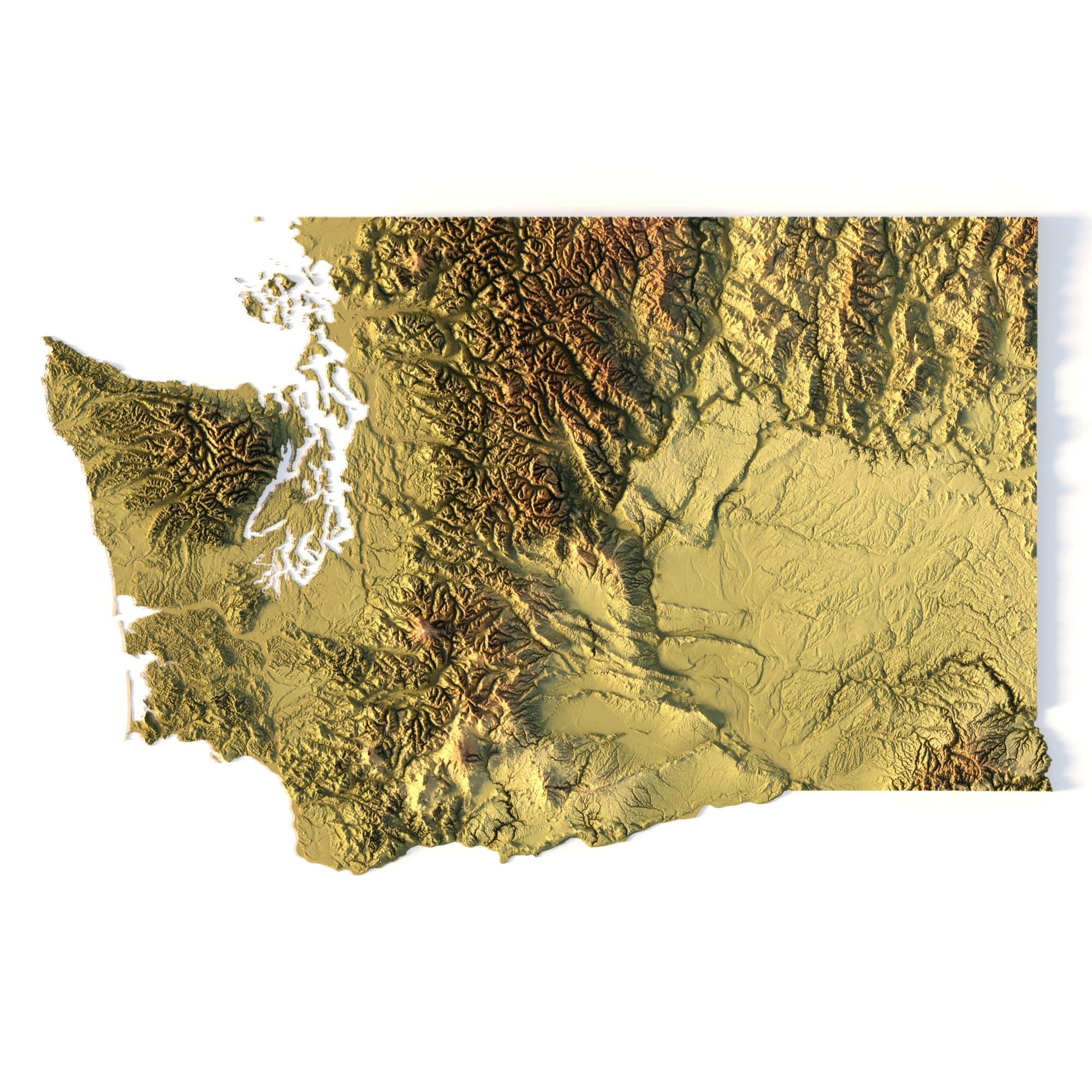 State of Washington buy 3d models State of Washington buy 3d models