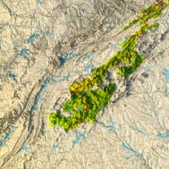 Appalachian Trail 1981 Relief Map - Image 4