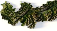 Austria relief map