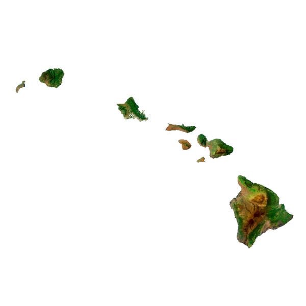 Hawaii Texture Hawaii Texture