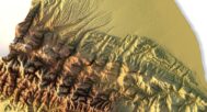 3D terrain model of Azerbaijan
