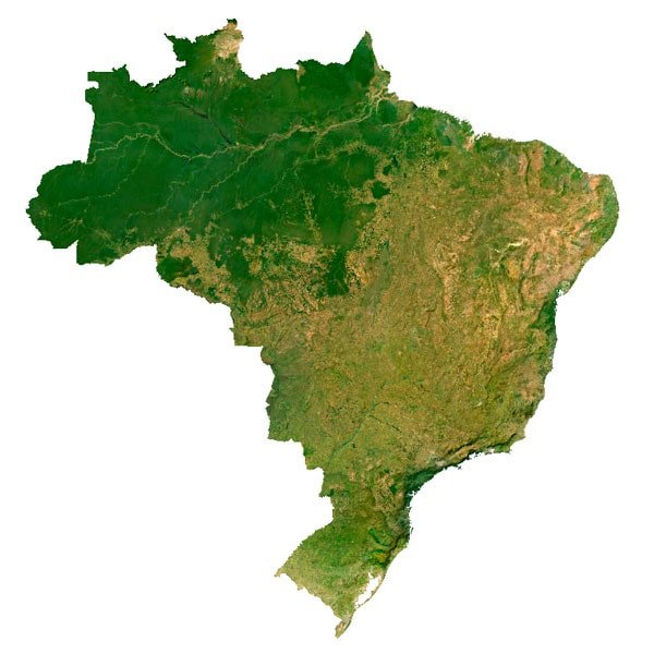 Brazil Texture Brazil Texture
