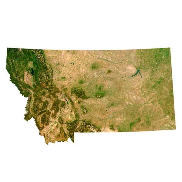 Montana_Texture-min