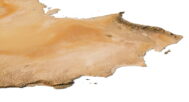 3D map of Arabian Peninsula topography