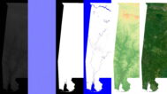 Alabama Textures