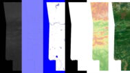 Arkansas Textures