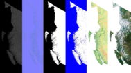 British Columbia Textures