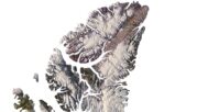 Topographic map Canada