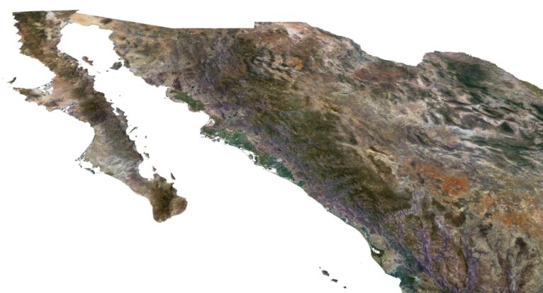 Mexico terrain