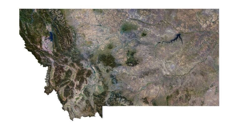 Montana buy 3d models