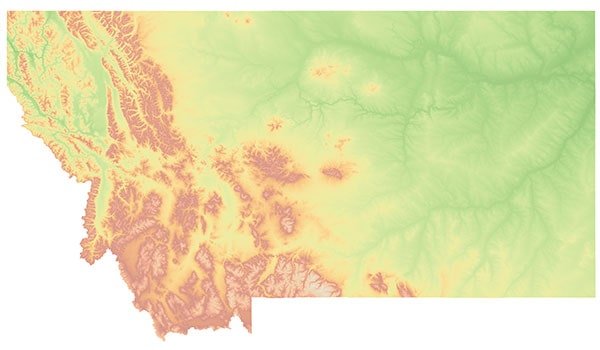 Montana Fake Montana Fake