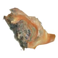 Saudi Arabia 3D model terrain