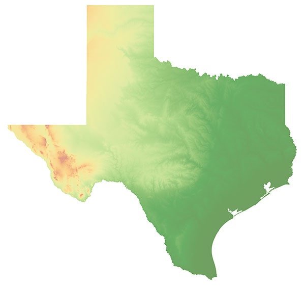 Texas FAKE