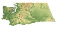 Washington model C4D OBJ STL