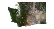 Washington buy 3d models