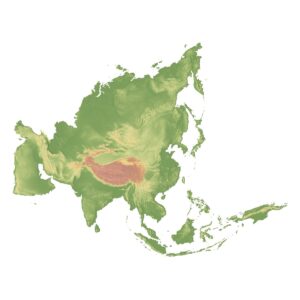 Asia 3D model