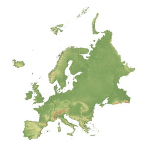 A 3D model showing the detailed elevation and topography of Europe’s landscapes, including highlands and valleys.
