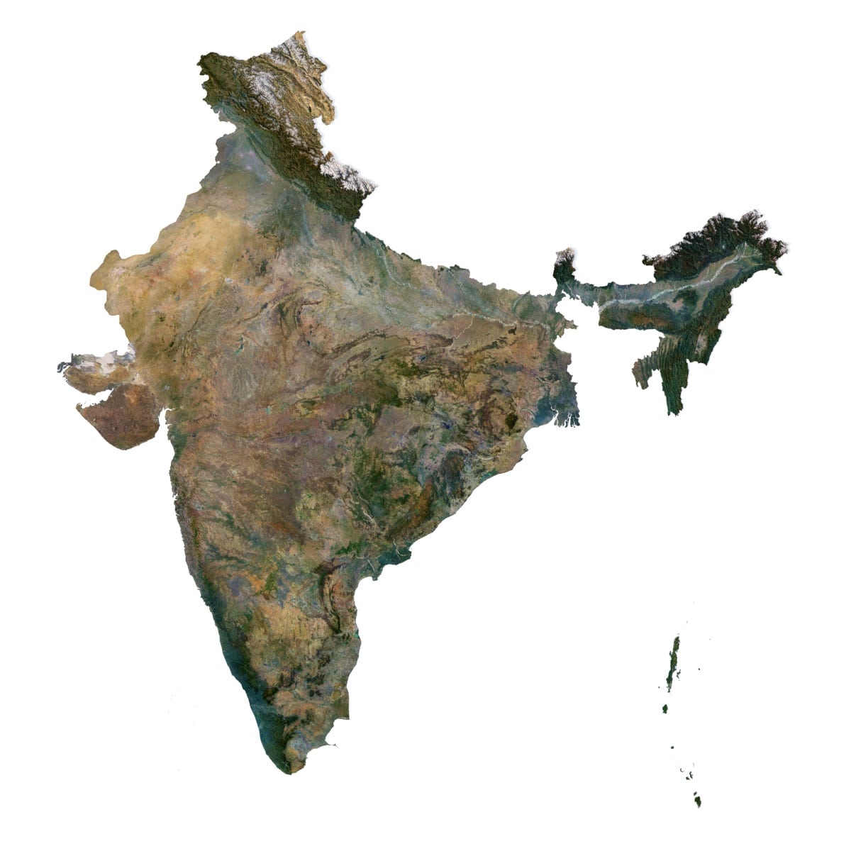 India 3D model terrain India 3D model terrain