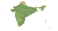 India model C4D OBJ STL