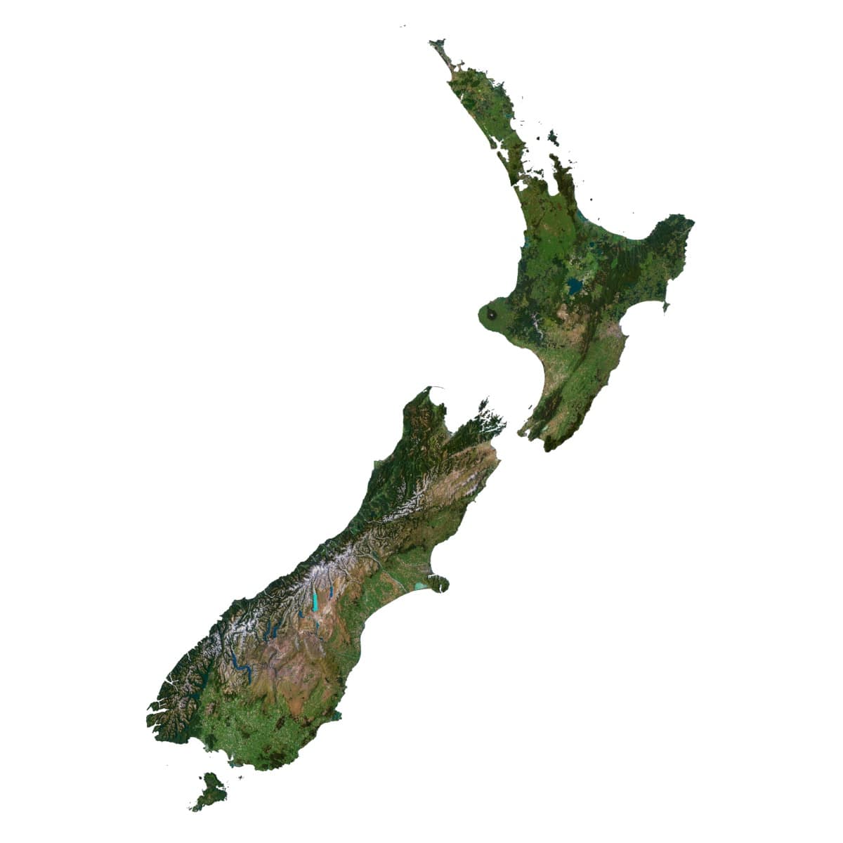 3D Terrain Map of New Zealand High-resolution 3D terrain map of New Zealand, perfect for graphic design and educational projects.