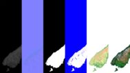 New Zealand Textures