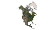 A digital elevation model of North America displaying terrain features, including mountains and flatlands.