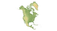 A high-resolution 3D map of North America, ideal for architects and designers incorporating terrain into 3D models.