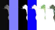 North America Textures