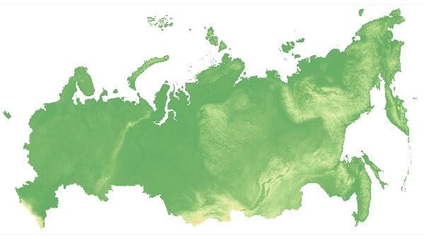 Russian Federation Fake Russian Federation Fake