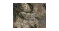 Wyoming buy 3d models