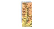 Zion Canyon STL model