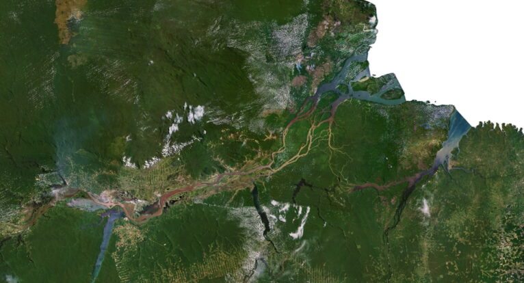 3D relief map of Brazil