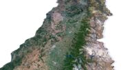 Chile buy 3d models