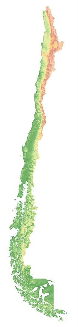 Chile Fake Chile Fake