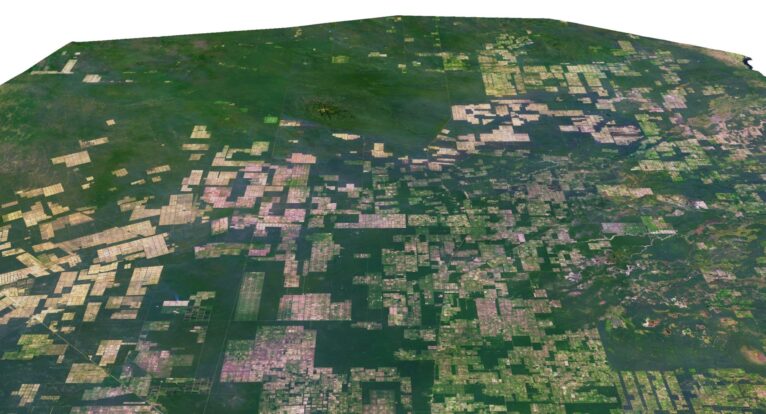 Detailed 3D model of Paraguay relief