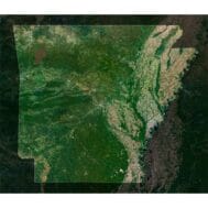 High-resolution satellite imagery of Arkansas showcasing detailed topography and natural features.