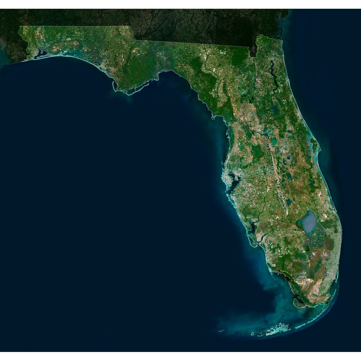 High-Resolution Florida Satellite Imagery High-resolution florida satellite imagery displaying detailed topography and coastal areas.