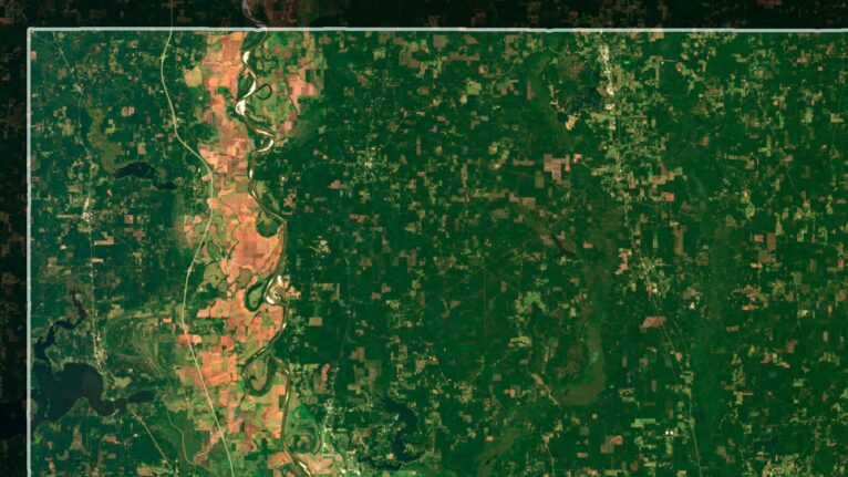 High-resolution Louisiana satellite imagery displaying detailed topography.
