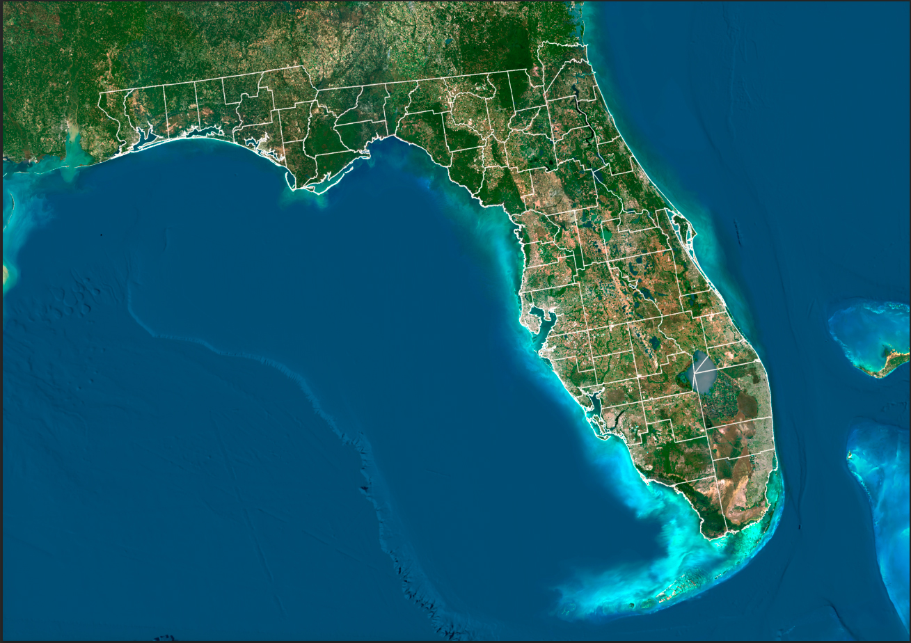 Florida Florida State Rendering Fee - Image 1