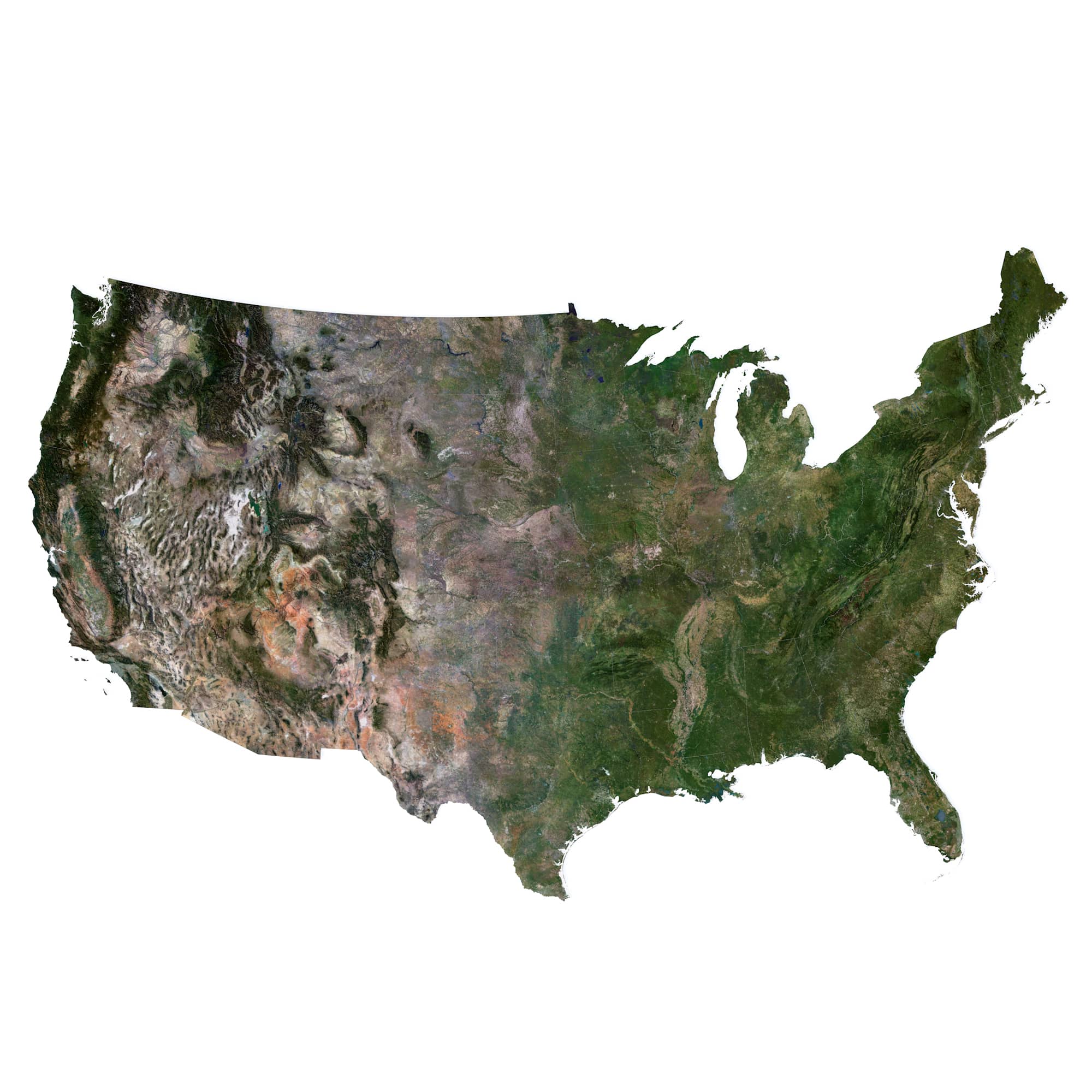 High-Quality USA Map 3D Model Premium 3D model of the contiguous 48 U.S. states