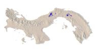 Render of Panama’s topographic model showing landforms